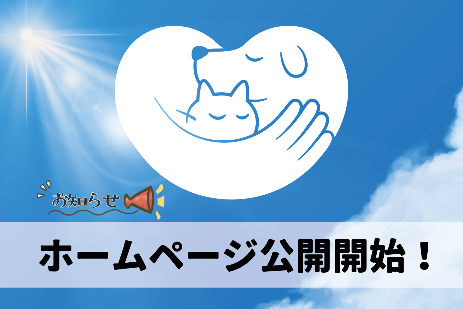 ホームページ完成しました！