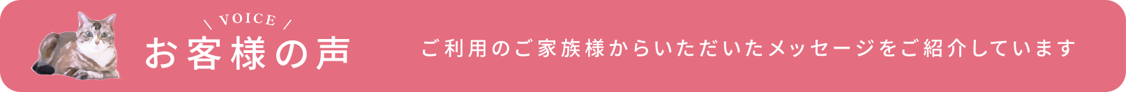 お客さん様の声